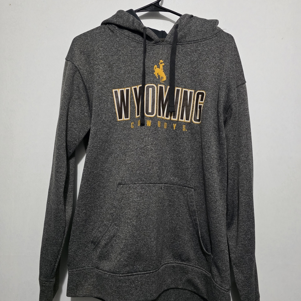 Champion Gray Hoodie with Wyoming Cowboys
